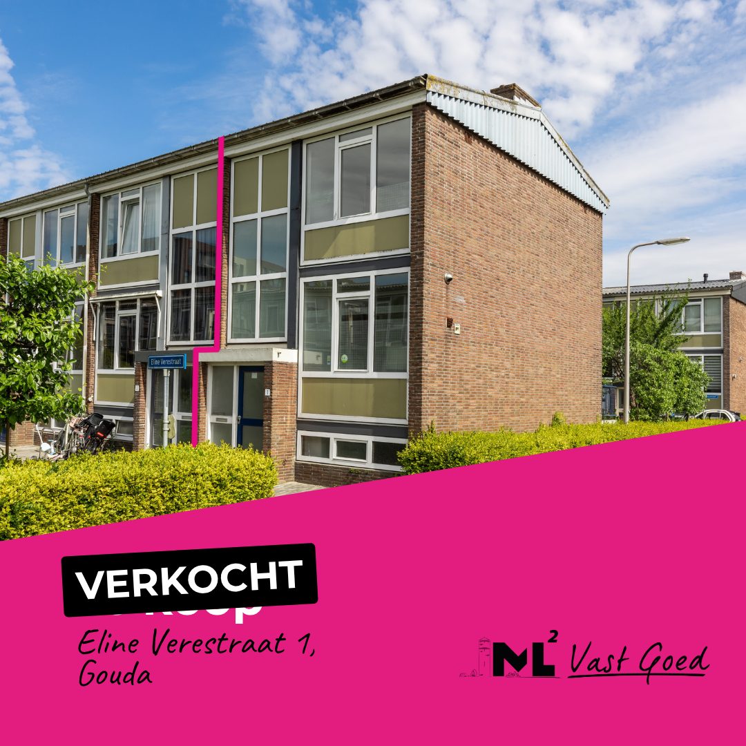 Eline_Verestraat_1_social_media_verkocht