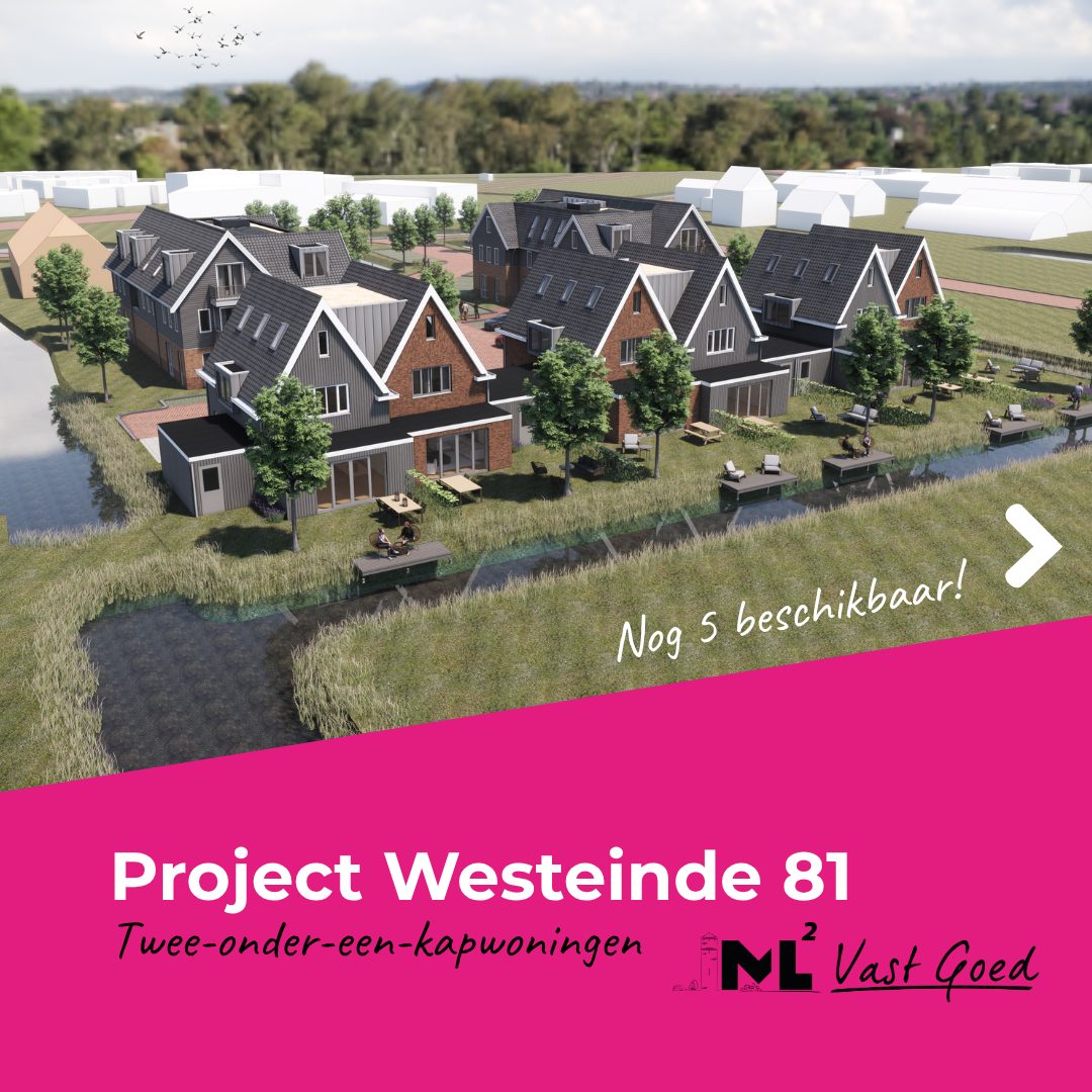 Te koop: riante twee-onder-een-kapwoningen in Driebruggen!