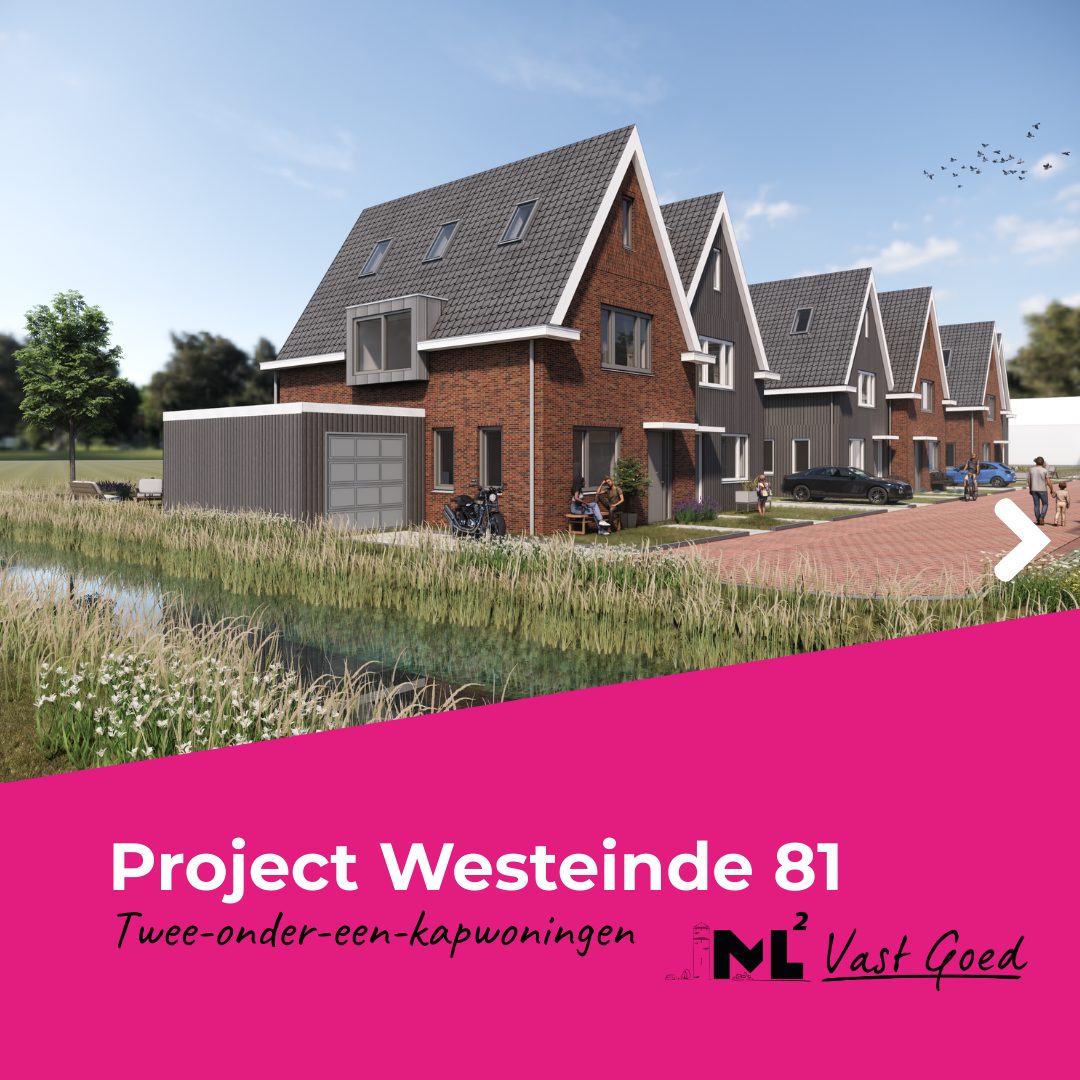 2_Twee-onder-een-kapwoning_Driebruggen