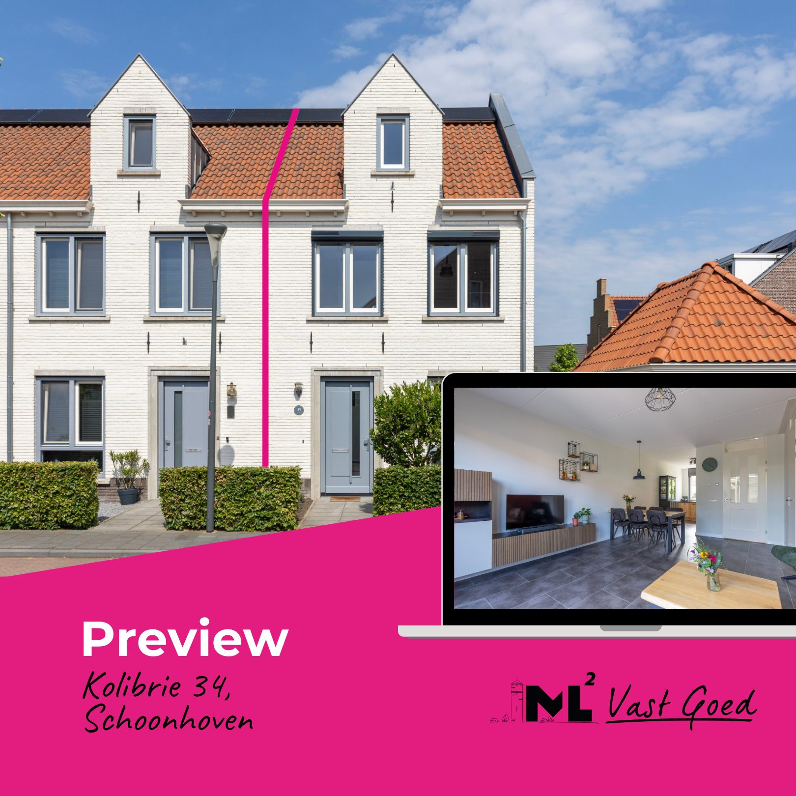 Kolibrie_34_preview