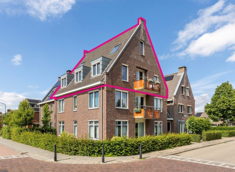 1_Europasingel_1B