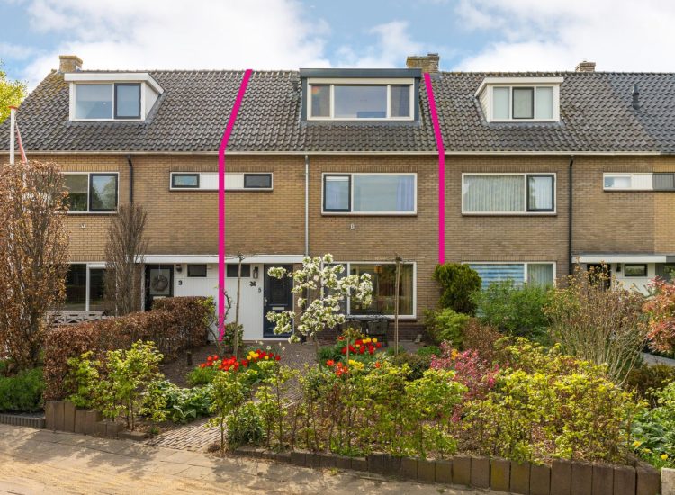1_Zwier_Regelinkstraat_5