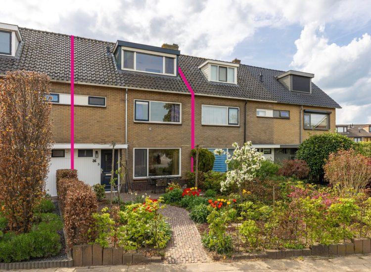 1_Zwier_Regelinkstraat_5