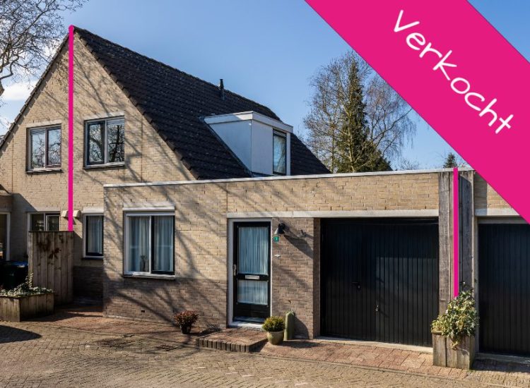 Iepenpad_3_verkocht